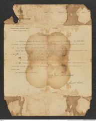 Nachlass Franz Steindachner, Brief von Carl Isidor Cori an Franz Steindachner (15.12.1912), Inv.Nr. 87.04, Seite 1